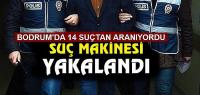 14 suçtan aranan şahıs yakalandı