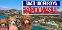 Bodrum’daki otelde köpeklere SPA