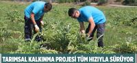 BELEDİYENİN TARIMSAL KALKINMA ÇALIŞMALARI SÜRÜYOR
