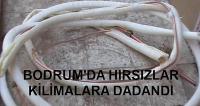 Bodrum'da Hırsızlar Klimalara Dadandı