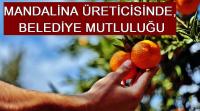 MANDALİNA ÜRETİCİSİNDE, BELEDİYE MUTLULUĞU
