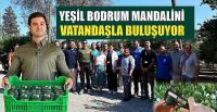 YEŞİL BODRUM MANDALİNİ MARKETLERDE VE BELEDİYE KAFELERDE