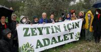 ZEYTİNLİK DÜZENLEMESİ YARGIYA TAŞINDI
