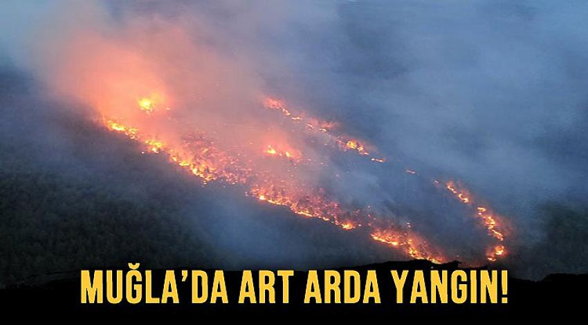 Muğla'nın 3 ilçesinde art arda orman yangını!