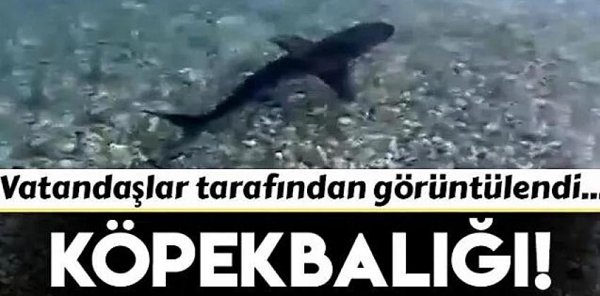 Kategori Haberleri