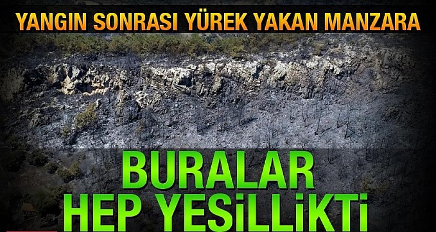 Bodrum'da yanan ormanlık alan havadan görüntülendi