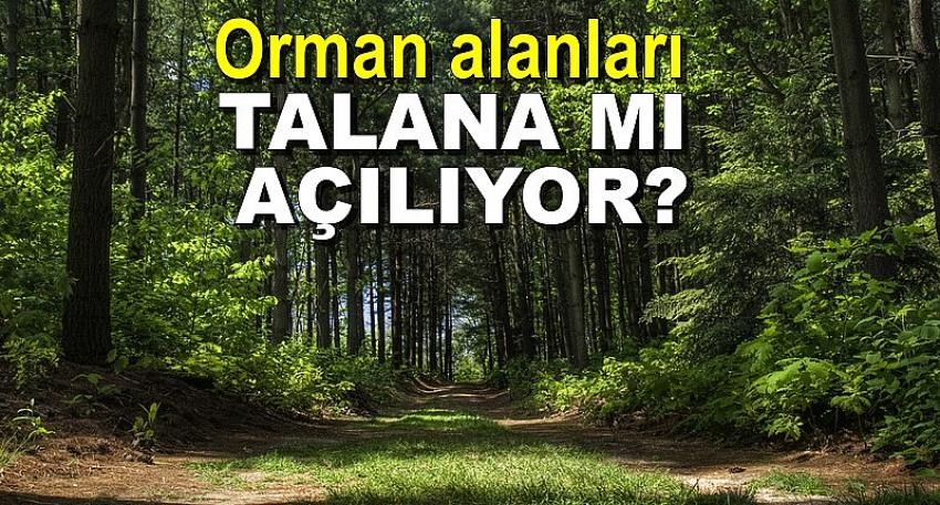 Bazı alanlar orman sınırları dışına çıkartıldı