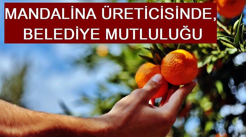 MANDALİNA ÜRETİCİSİNDE, BELEDİYE MUTLULUĞU