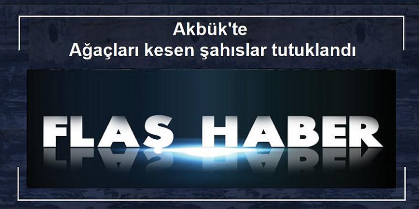 Akbük'te ağaçları kesen şahıslar tutuklandı
