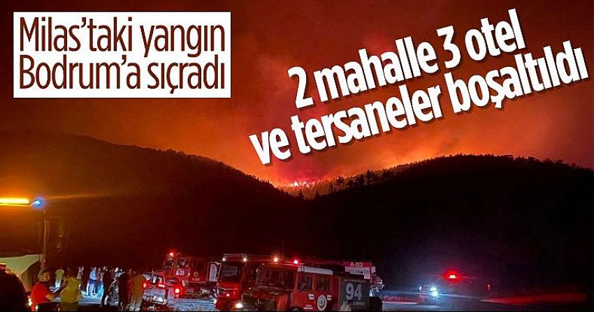 Bodrum'da orman yangını
