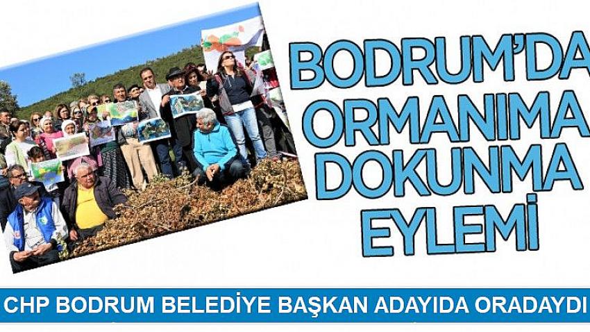 Bodrum’da ormanıma dokunma eylemi