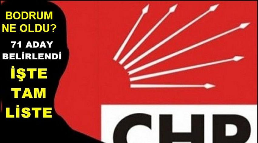 CHP'de 71 yeni aday belirlendi!