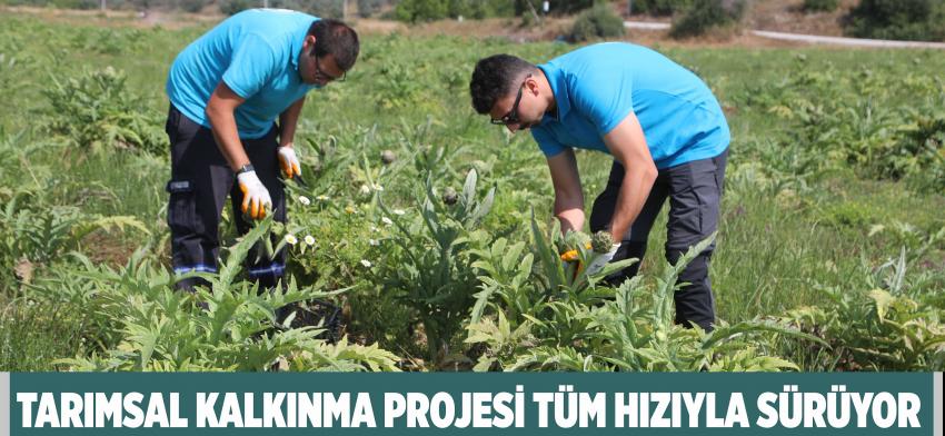 BELEDİYENİN TARIMSAL KALKINMA ÇALIŞMALARI SÜRÜYOR