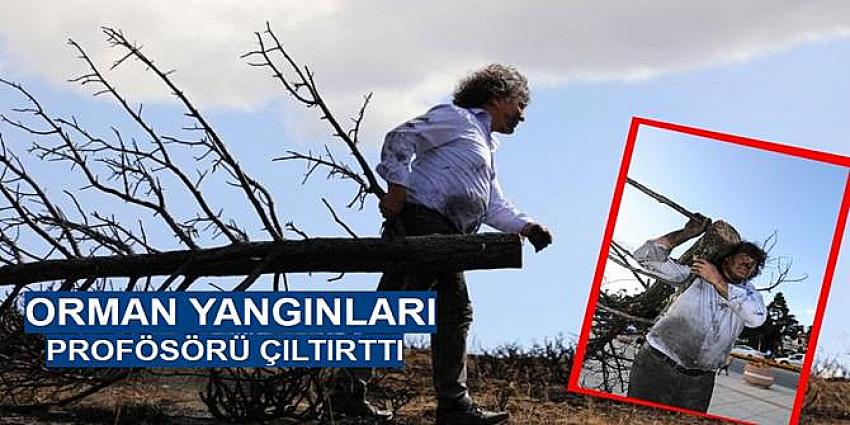 Profesörden orman yangınlarına karşı ilginç eylem