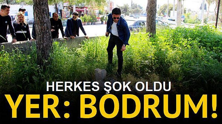 Bodrum'da şoke eden olay!