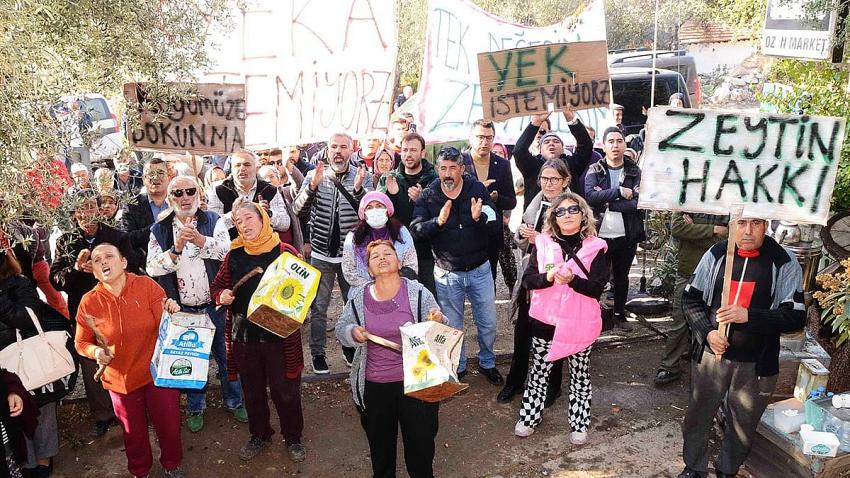 Kategori Haberleri
