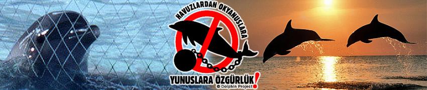 29 Ağustos'ta imzalarınızla Bodrum'dayız