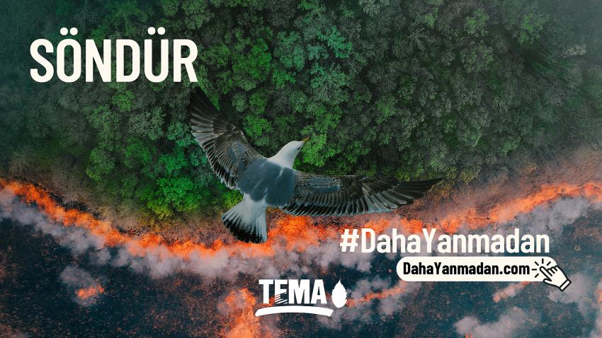 TEMA'dan çağrı var 