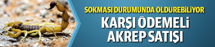 İnternetten karşı ödemeli kargoyla akrep satışı