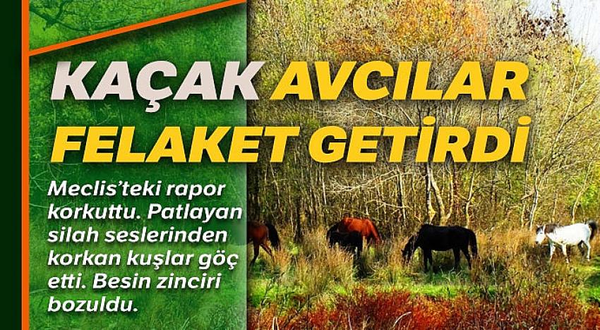 Tetikteki felaket!