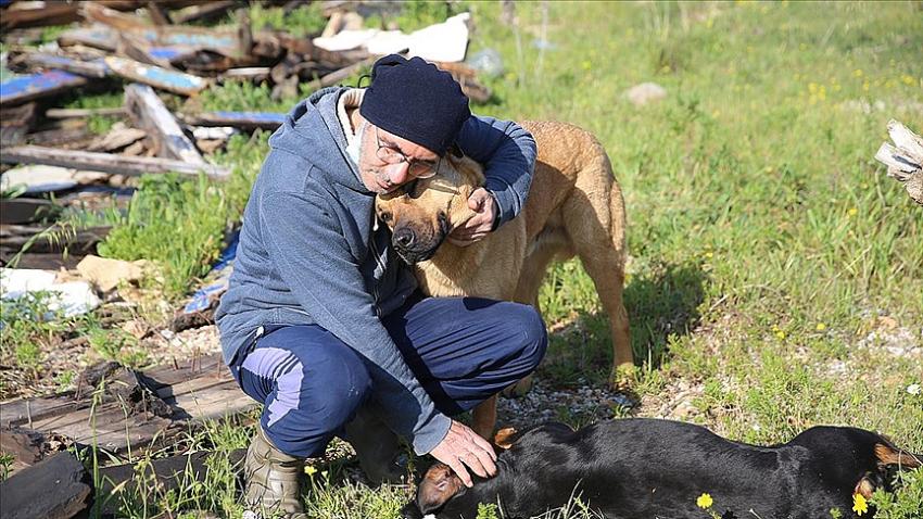 Avukat sokak hayvanları için 'mesaisi' yapıyor