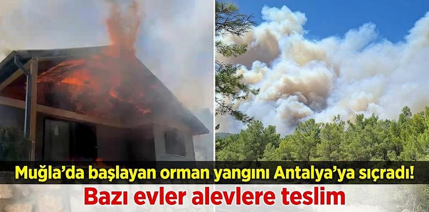 Muğla