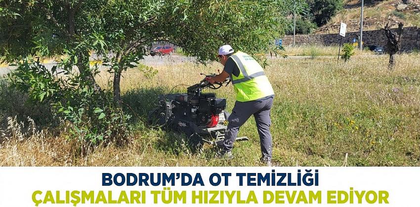 Bodrum’da Ot Temizliği Çalışmaları Tüm Hızıyla Devam Ediyor