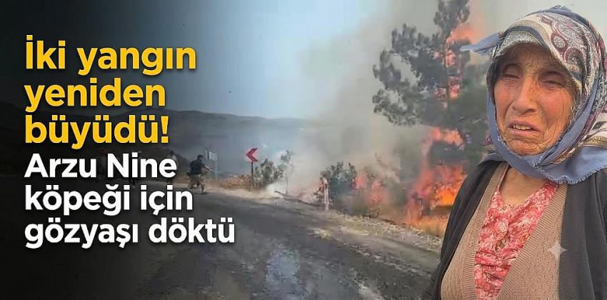 İki yangın yeniden büyüdü! Arzu Nine köpeği için gözyaşı döktü