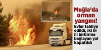Muğla'da orman yangını! Evler tahliye edildi, iki ili birbirine bağlayan yol kapatıldı